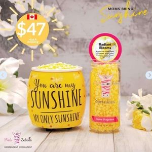 Pink zebra you are my sunshine simmer pot